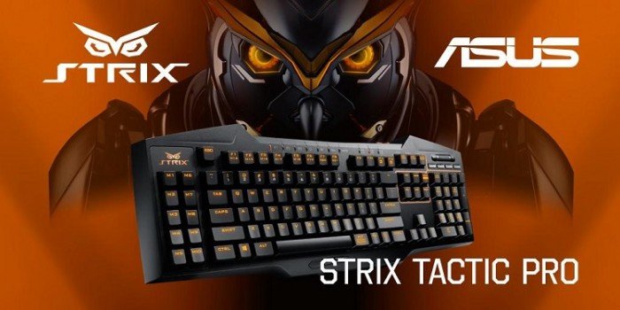 Asus strix tactic pro обзор