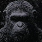 La Planète des singes 3 : Suprématie – le blockbuster sérieux de 2017