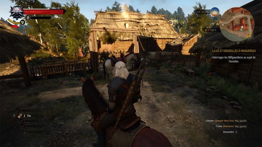 the witcher iii