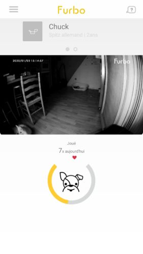 Furbo camera dog application