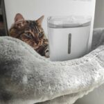 Test – Petonner Fresco Mini, une fontaine pour chats… connectée ! Petoneer Fresco Mini