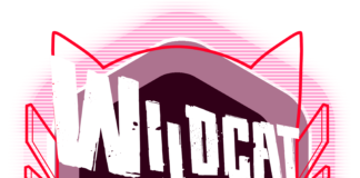Chunkybox Games dévoile Wildcat Gun Machine Wildcat Gun Machine