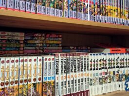 Sélection de manga et light novels de 2021