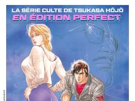 City Hunter édition Perfect