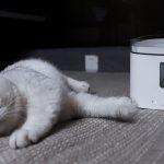 Xiaomi lance deux produits connectés pour vos animaux de compagnie Xiaomi