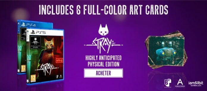 Stray PS4