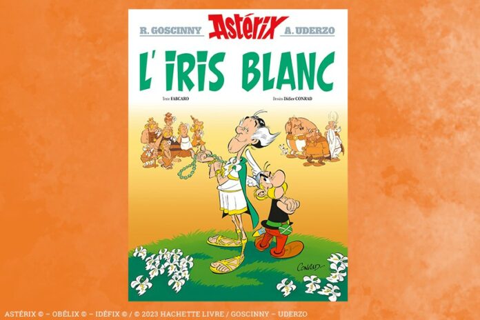 Astéris l'iris Blanc