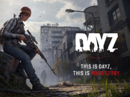 Day Z