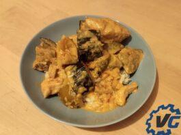 Curry rouge au poulet - Street Food