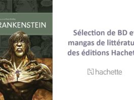 Classiques de la littérature adaptés en bande dessinée : 10 titres à découvrir !