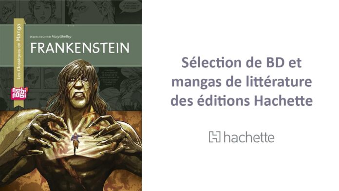 Classiques de la littérature adaptés en bande dessinée : 10 titres à découvrir !