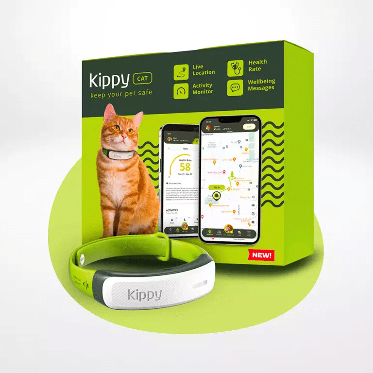 Kippy Cat