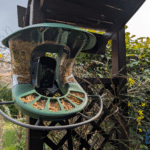 Test – Birdfy Feeder 2 Pro, une mangeoire pour oiseaux connectée Birdfy
