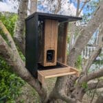 Test – Birdfy Feeder Bamboo, la mangeoire connectée eco-friendly Birdfy Feeder Bamboo cover