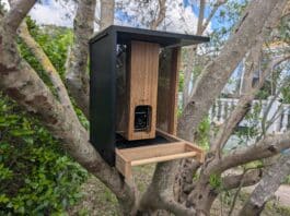 Birdfy Feeder Bamboo cover