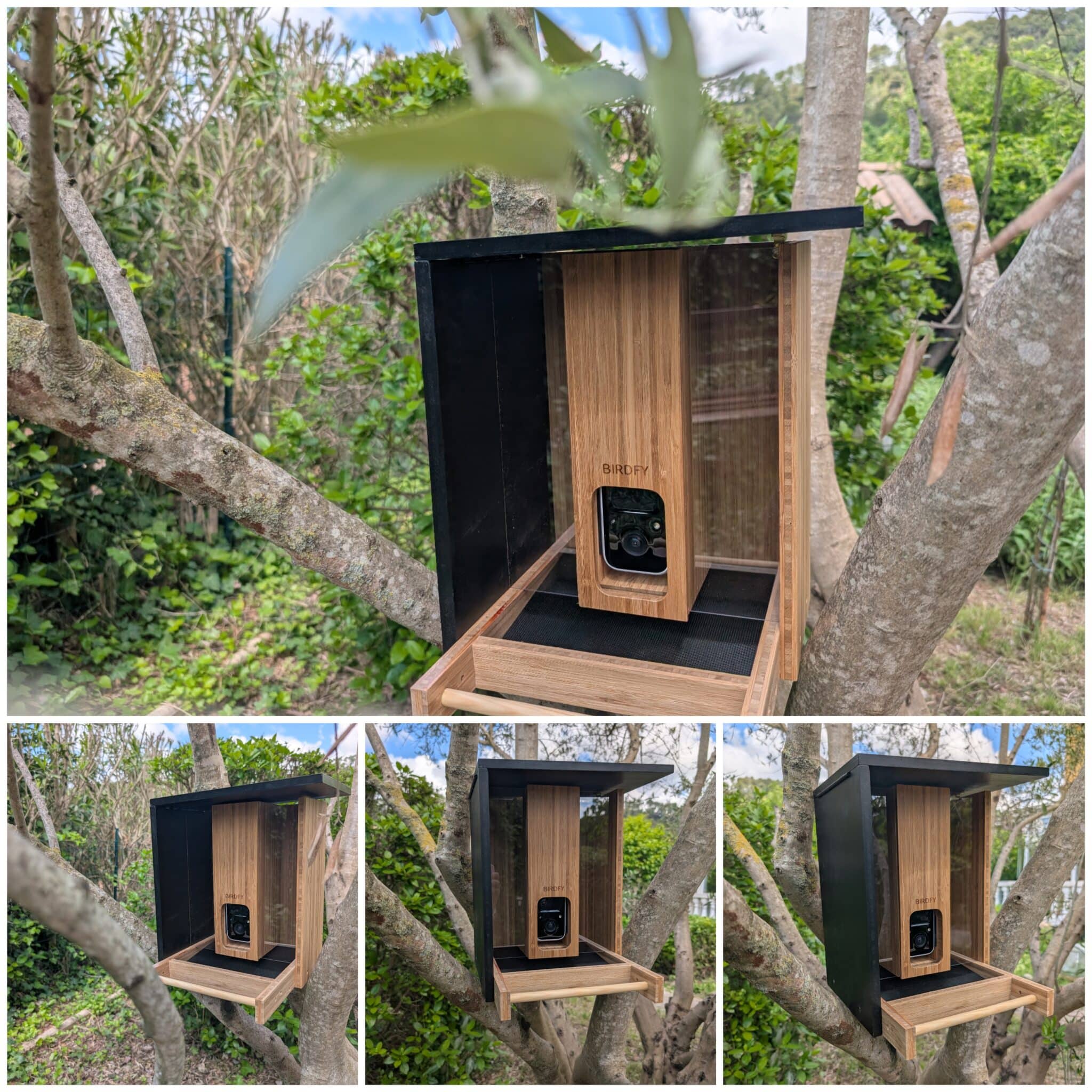 Birdfy Feeder Bamboo