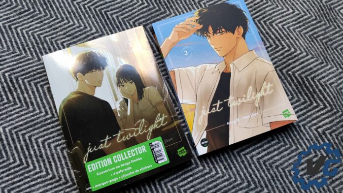 just-twilight-1-lifestyle-livres-vonguru Just Twilight