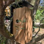 Test – Birdfy Nest Duo Birdfy Duo Nest