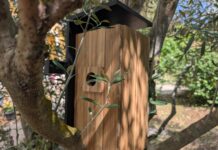 Test – Birdfy Nest Duo Birdfy Duo Nest