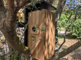 Birdfy Duo Nest