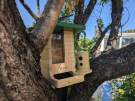 Birdfy Feeder Wood