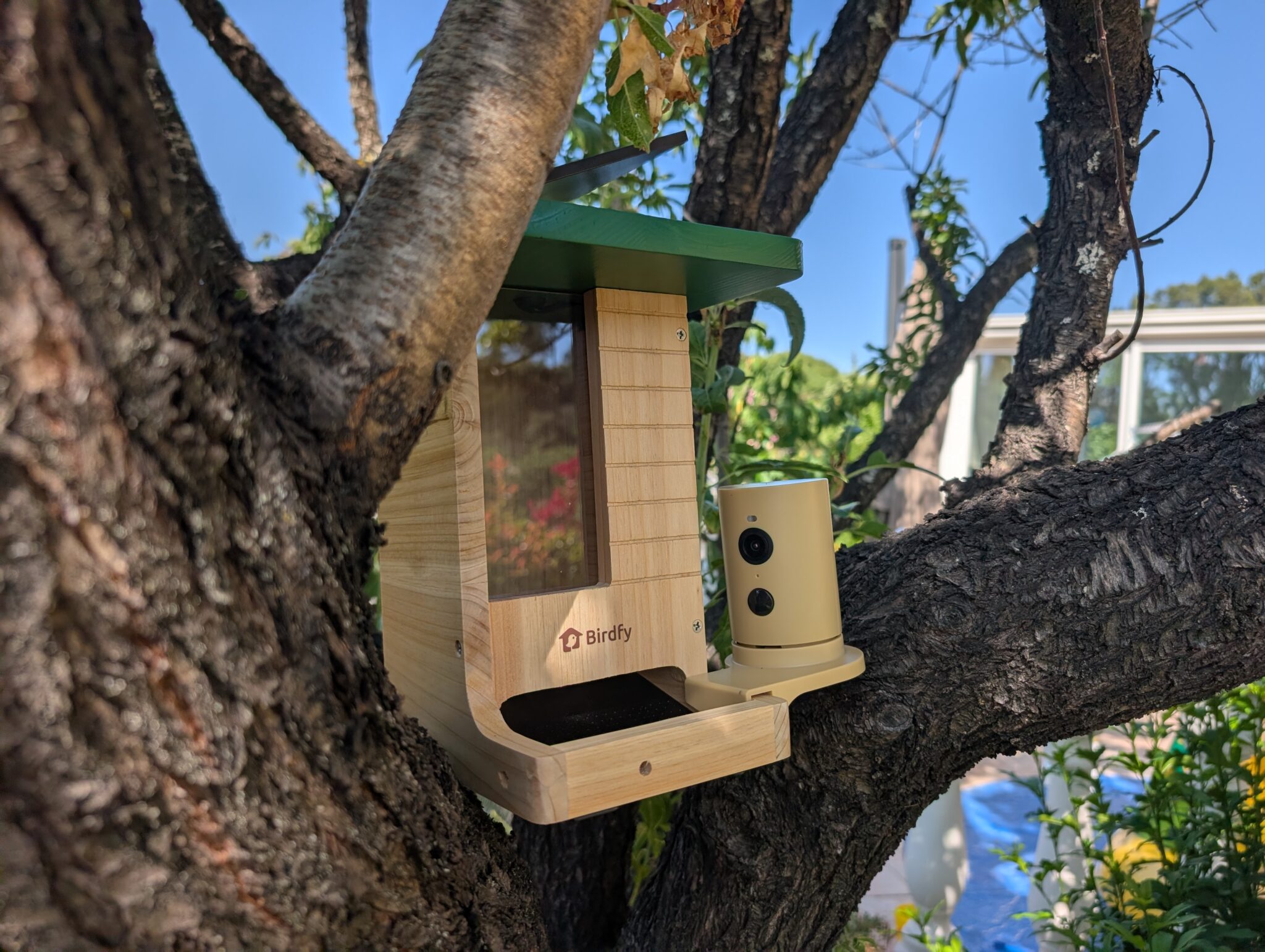 birdfy-feeder-wood-cover-test-lifestyle-vonguru Birdfy Feeder Wood
