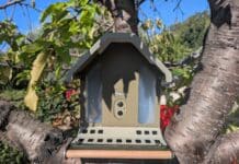 Test – Birdfy Feeder Metal 2 4K Mangeoire connectée Birdfy Feeder Metal 2 4K