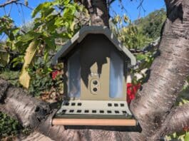 Mangeoire connectée Birdfy Feeder Metal 2 4K